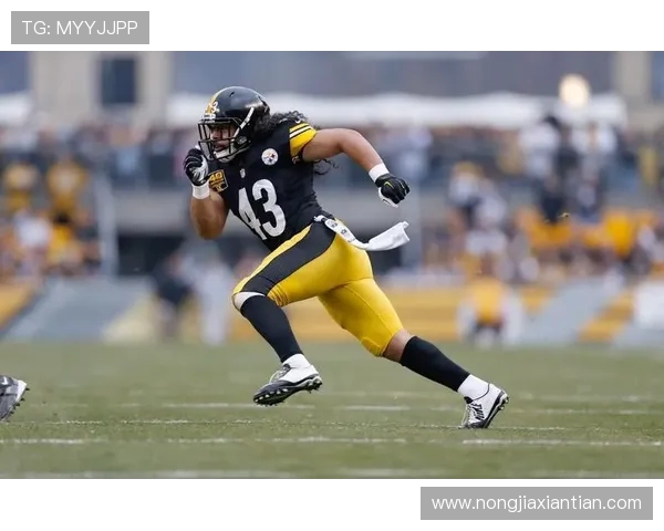 杨瀚森称赞夏普实力超群自信表示若有其弹跳必定能夺状元